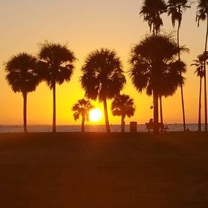 Meet your Posher, Liz